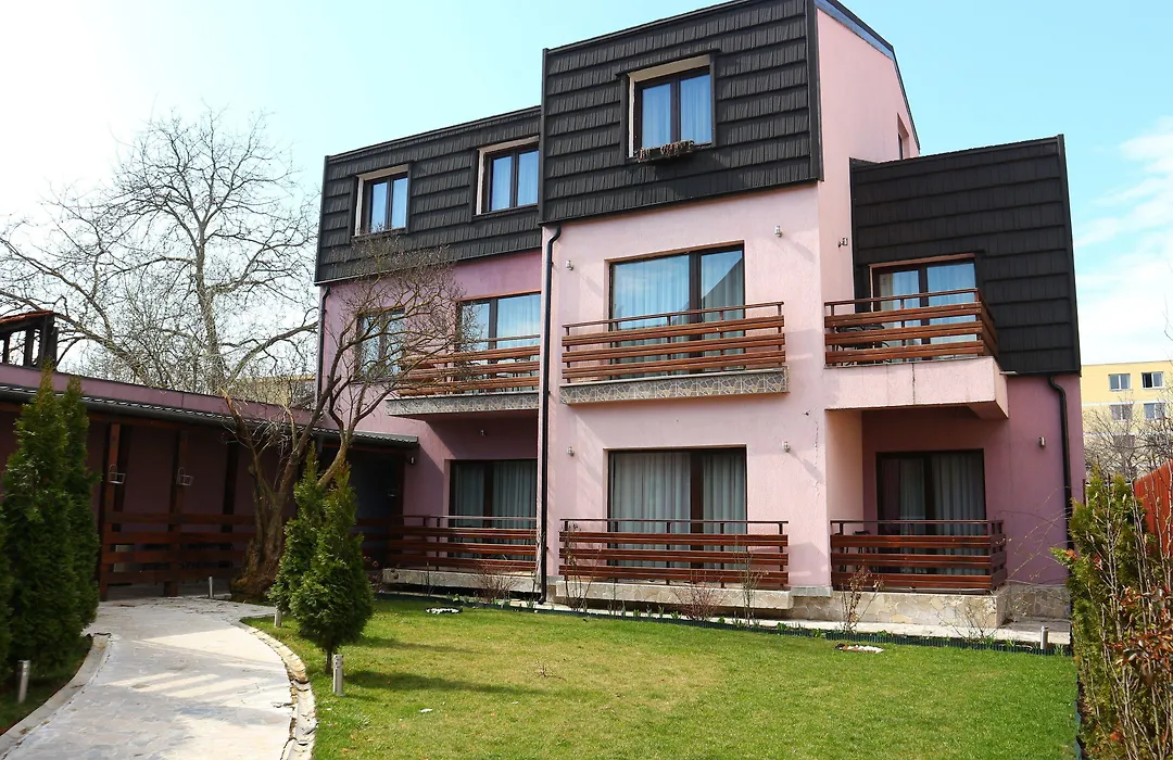 Andy Brasov-1