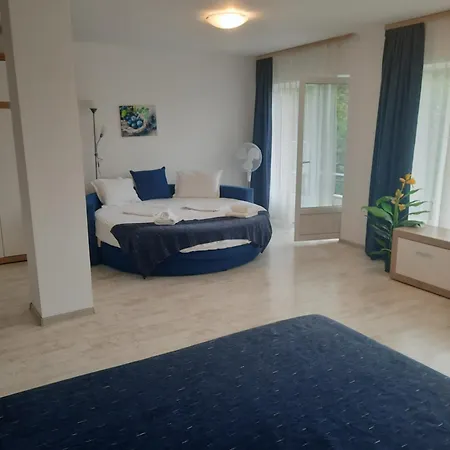 Vila Alba Brasov-3